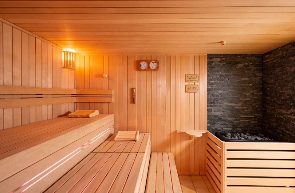 cabine de sauna traditionnel finlandais haut de gamme